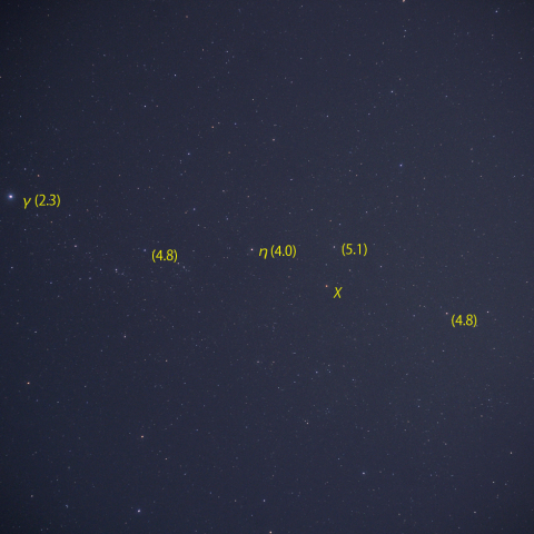 はくちょう座χ (χ Cyg)