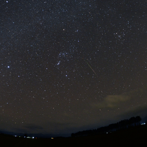 しし群の流星