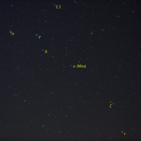 くじら座ミラ (ο Cet)