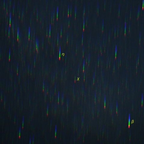 はくちょう座χ (χ Cyg)のスペクトル