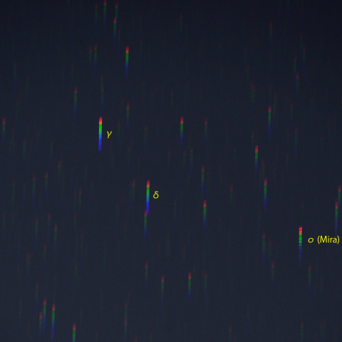 くじら座ミラのスペクトル