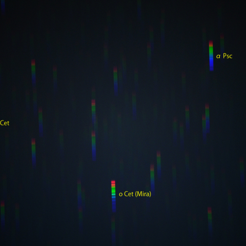 ミラのスペクトル