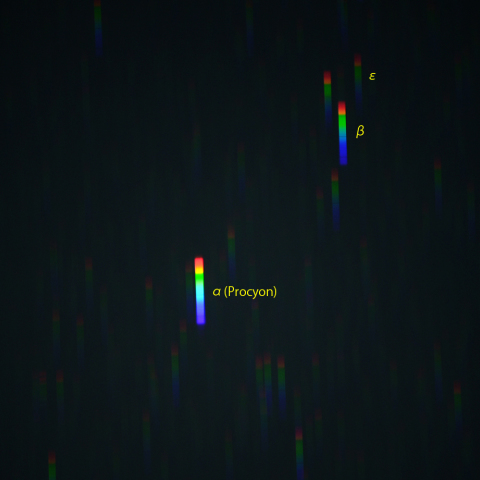 こいぬ座のスペクトル