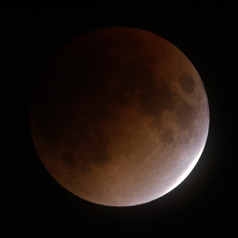 ターコイズ・フリンジ