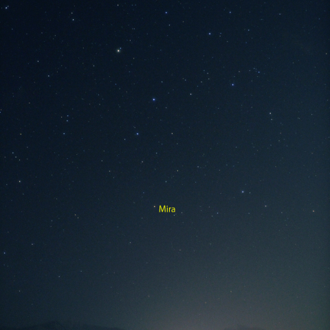 変光星ミラ (Mira)
