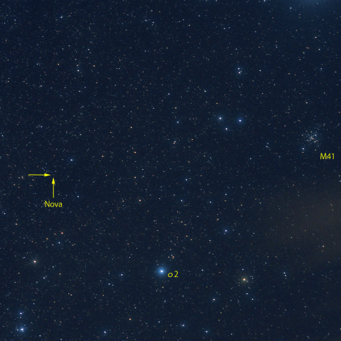おおいぬ座新星
