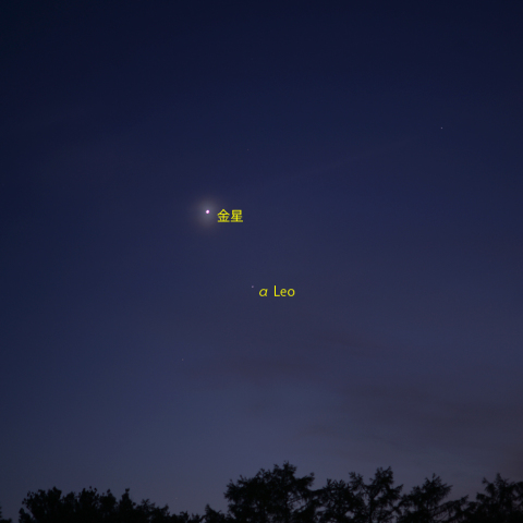 レグルスと金星の接近