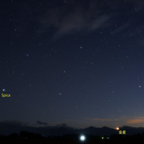 沈むおとめ座と金星