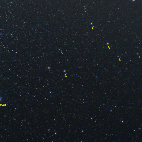 ベガとりゅう座