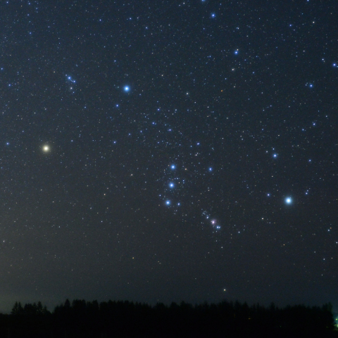 真夏のオリオン