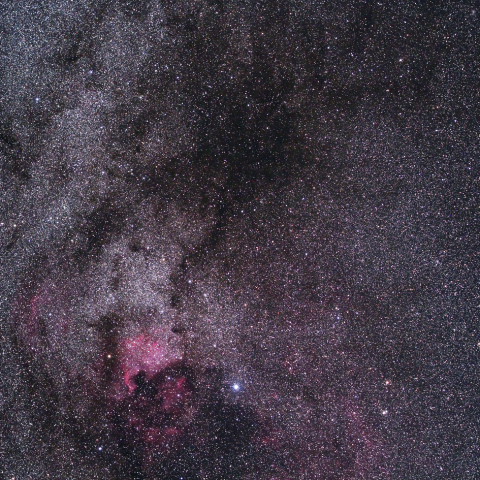 はくちょう座尾部の星雲