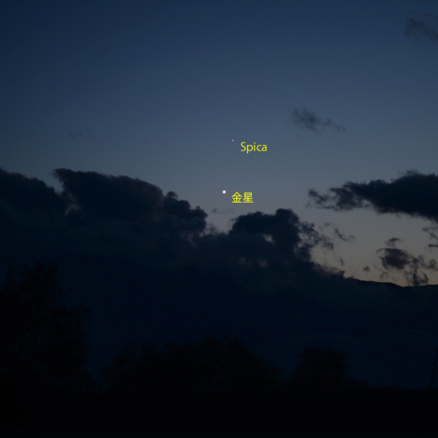 金星とスピカの接近