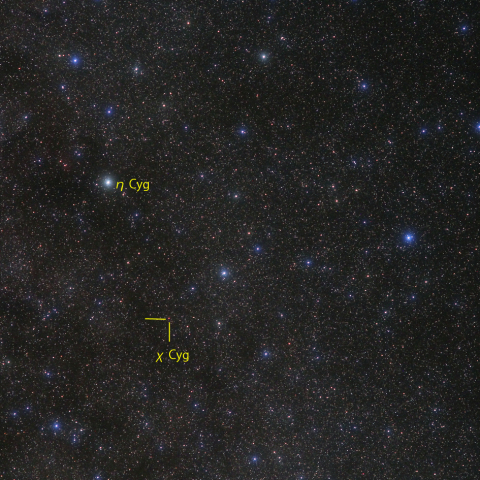 はくちょう座χ (χ Cyg)