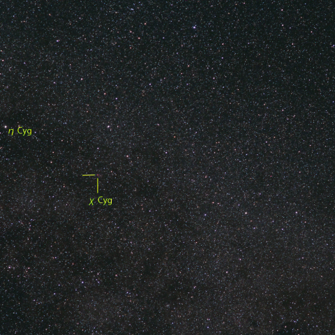 はくちょう座χ