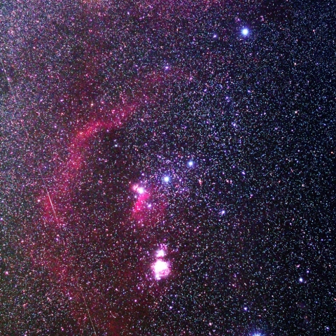 オリオン座主要部