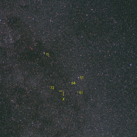 はくちょう座χ (χ Cyg)