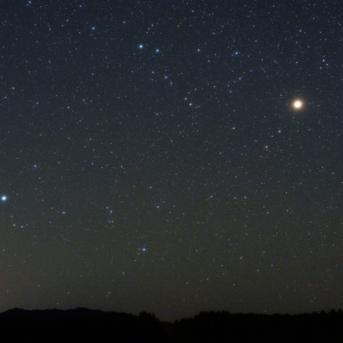 秋の南天の星座と流星
