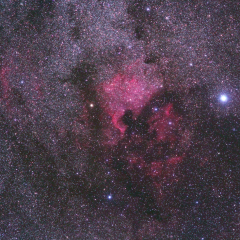 北アメリカ星雲とその周辺