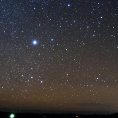 昇るおおいぬ座と流星