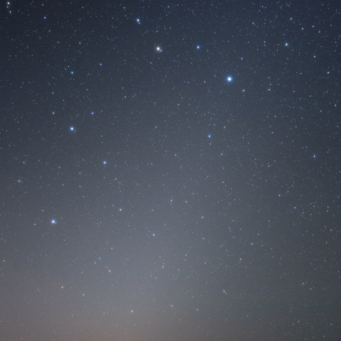 東天の黄道光としし座