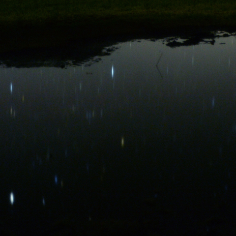 水面に映ったぎょしゃ座