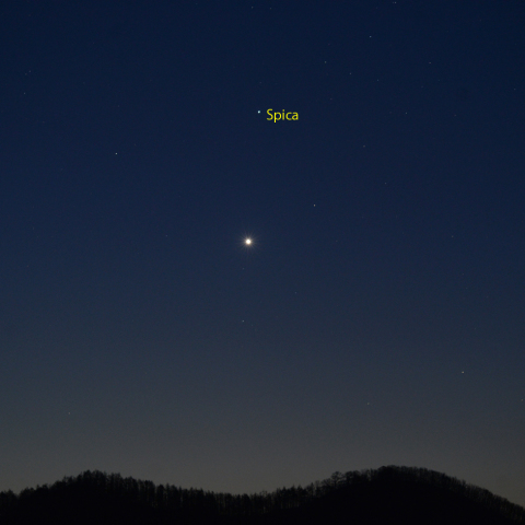 金星とスピカの接近