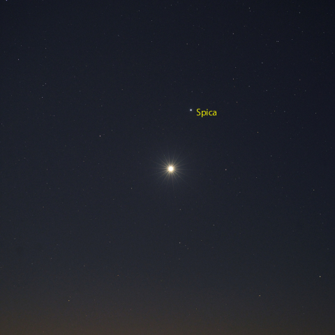金星とスピカの接近