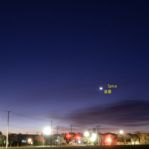 金星とスピカの接近
