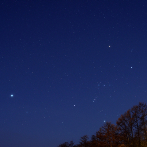 夜明けのオリオン