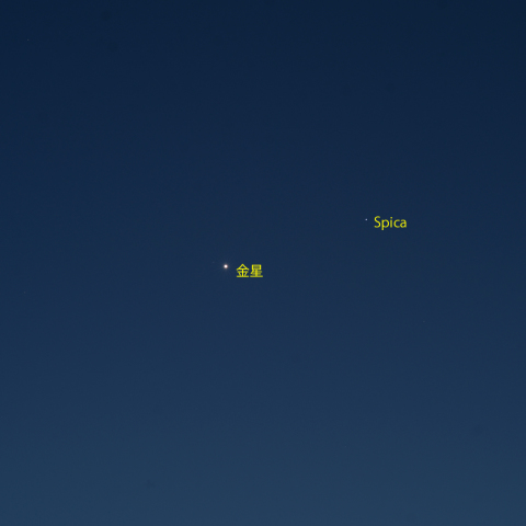 金星とスピカの接近
