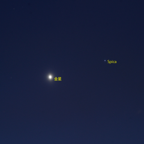 金星とスピカの接近