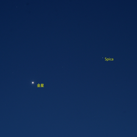 金星とスピカの接近