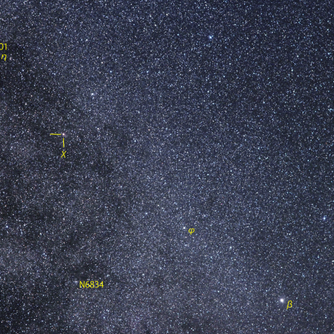 はくちょう座頸部