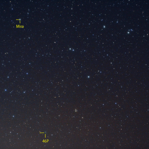 くじら座のウィルタネン彗星(46P)