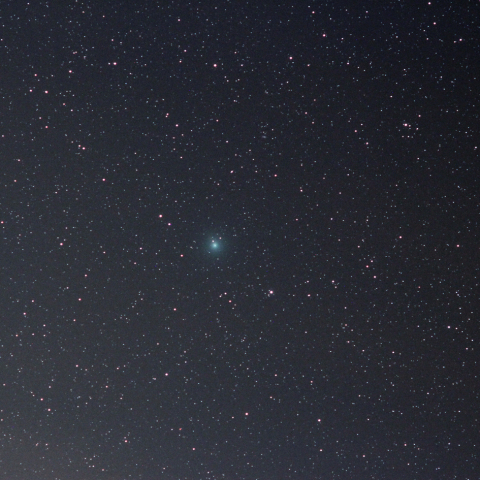 ウィルタネン彗星（46P） 11/28