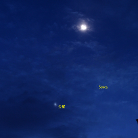 月と金星、スピカの接近
