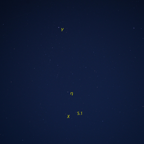 はくちょう座χ