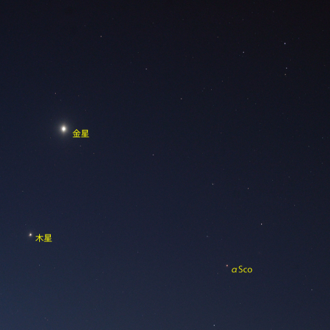 さそり座頭部と金星・木星