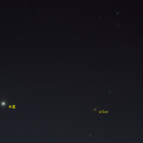 さそり座頭部と金星・木星