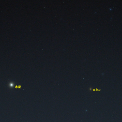 さそり座頭部と金星・木星