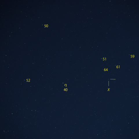 はくちょう座χ (χ Cyg)