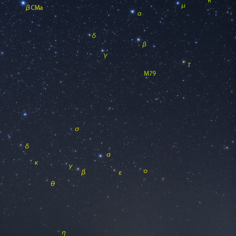 うさぎ座とはと座