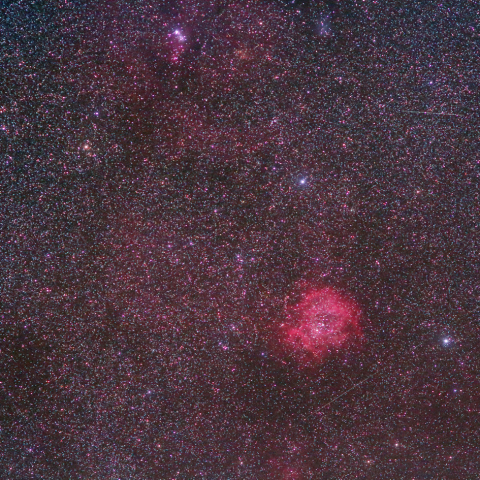 バラ星雲からコーン星雲まで