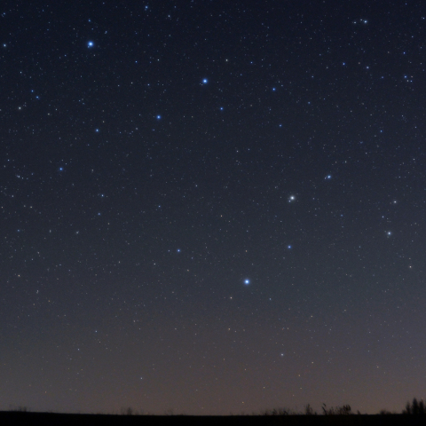 駆け下るしし座