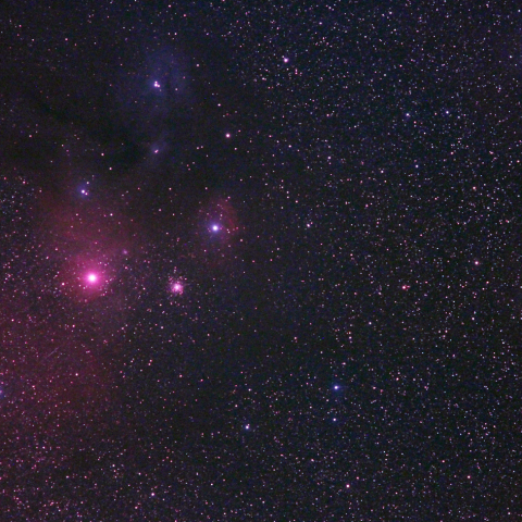さそり座頭部の星雲