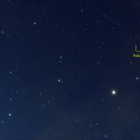 うしかい座の小惑星パラス