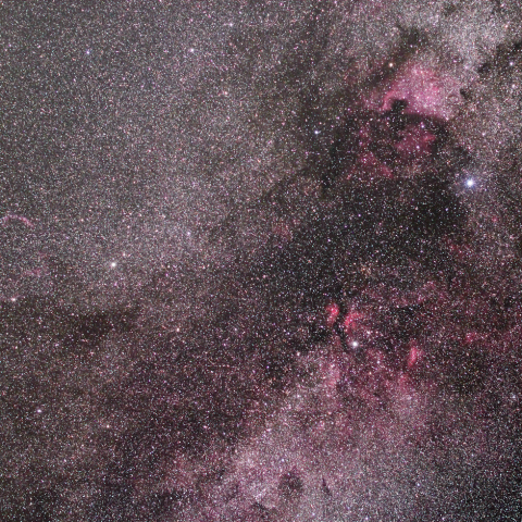 はくちょう座主要部