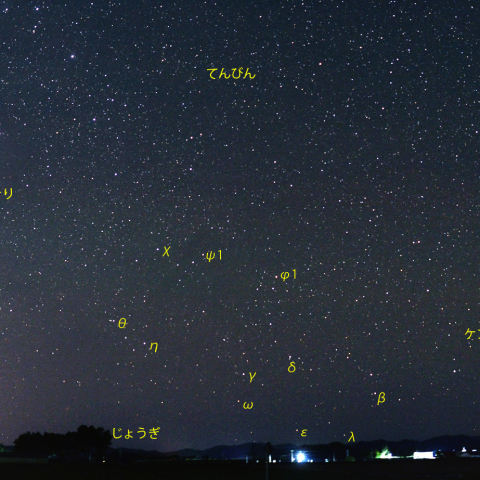 南天低いおおかみ座