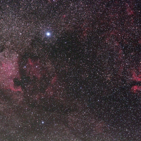 はくちょう座尾部の星雲