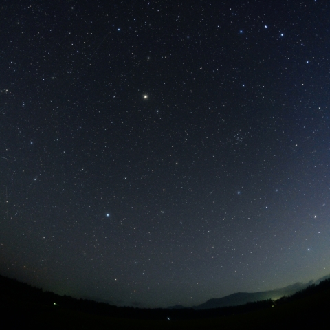 初夏の黄道星座